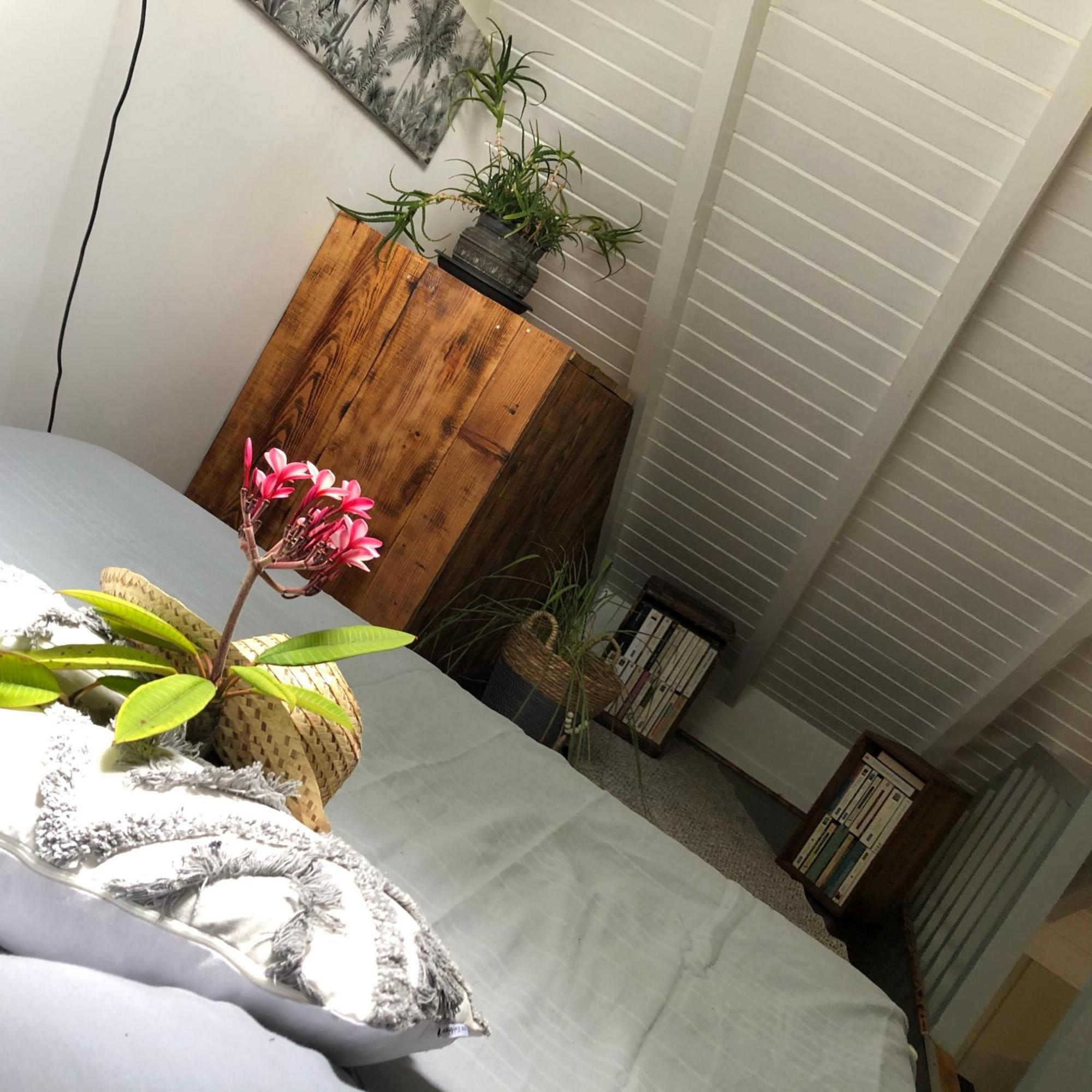 Le Jasmin De Nuit , Privatif * Les Abymes